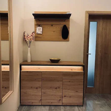 Apartment Petr Vok *